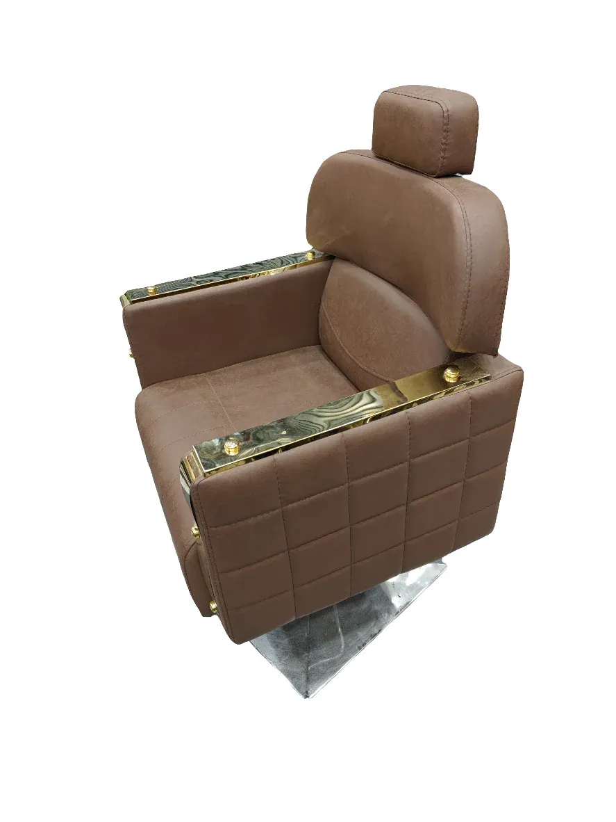 Beauty Parlour and Salon Chair with Gold Arm Trim, photo 2
